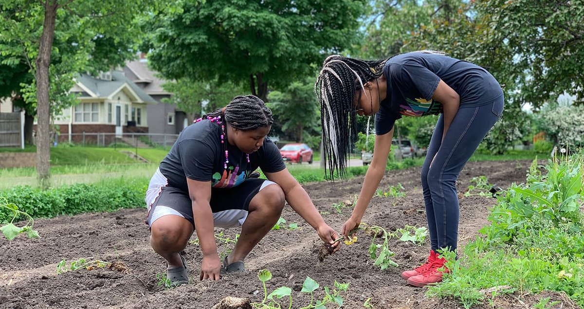 Food Systems Dialogues tweet media