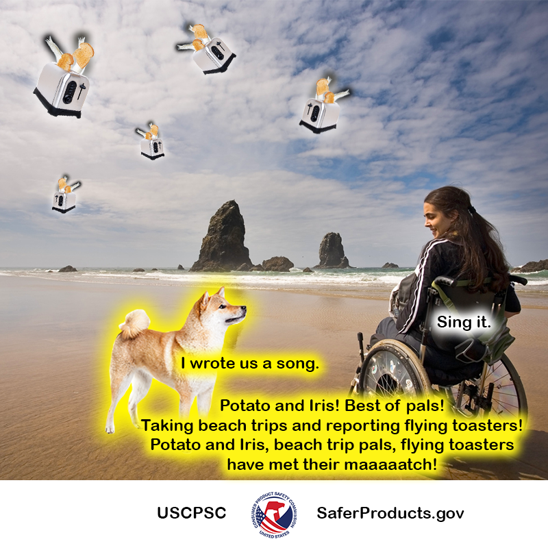 A dog named potato and a woman in a wheelchair on a beach. There is a flock of unsafe flying toasters in the distance. Potato says, "I wrote us a song." The woman replies, "Sing it." Potato sings, "Potato and Iris! Best of pals! Taking beach trips and reporting flying toasters! Potato and Iris, beach trip pals, flying toasters have met their maaaaaatch!" The text reads: SaferProducts.gov