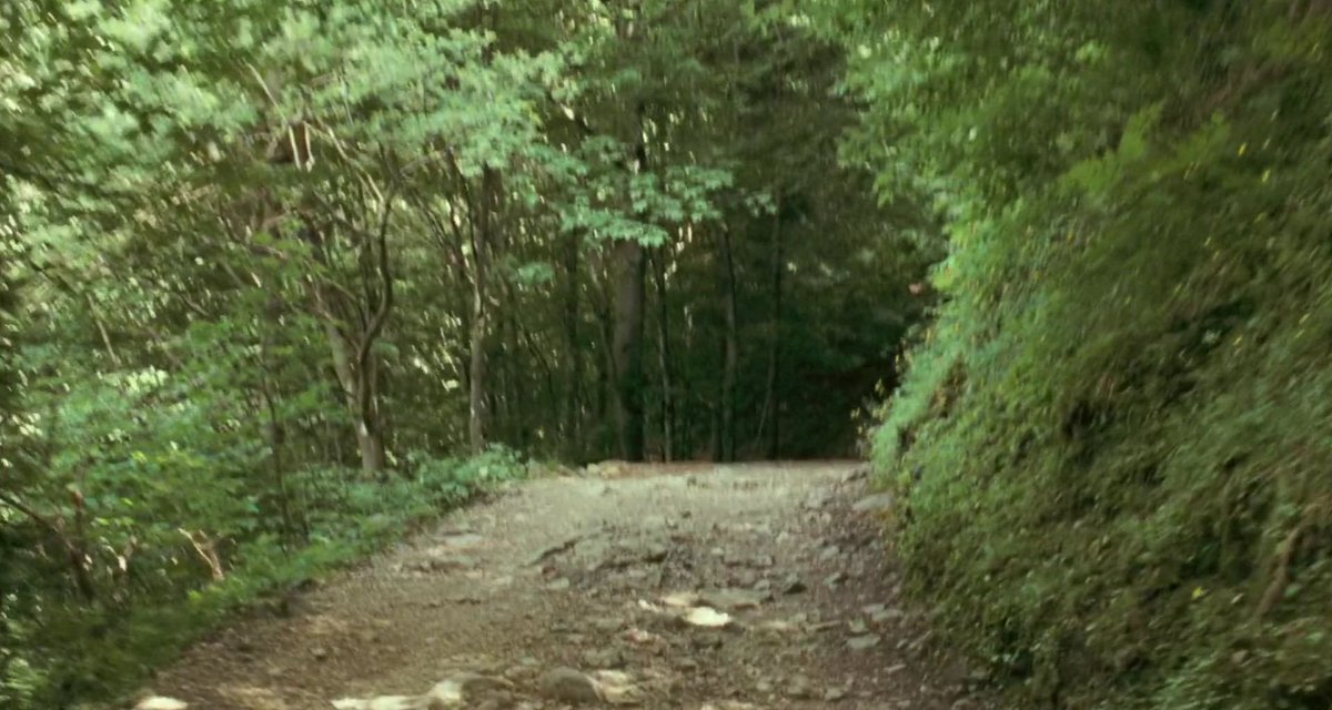 call me by your name tweet media