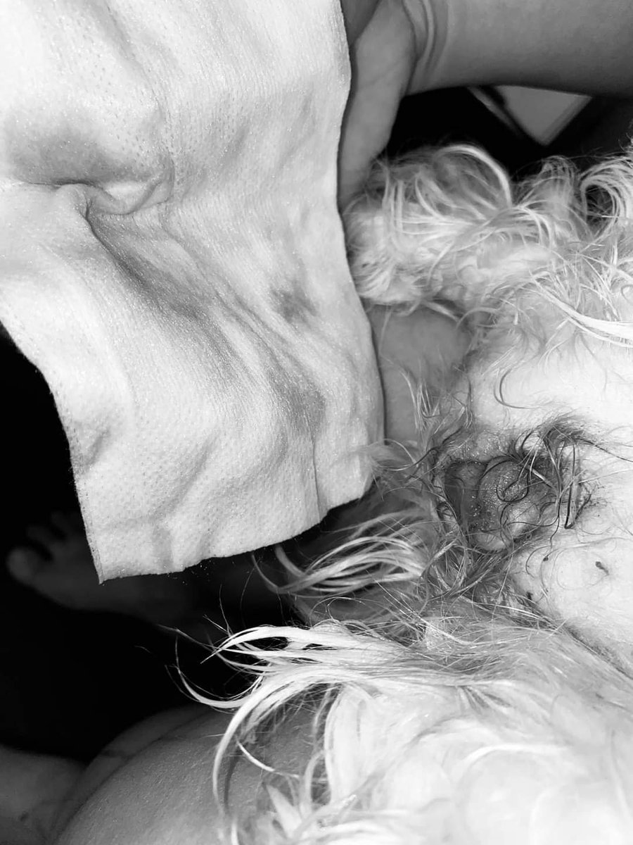 🆙💲450

Our FUR Star needs help, She was diagnosed of PYOMETRA🐶
Describe a Life threatening uterine infection that most typically affects older 🐾 
STAR| 2YRS OLD| SHIH TZU 

We are Asking for Immediate Operation, Any amount will do. 

For Donation;
paypal.me/realgearscore 🐾🐕