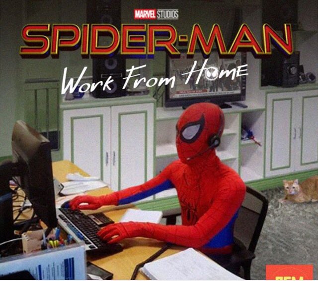 RT @mrjafri: Spider-Man: Work From Home #RejectedMCUTitles https://t.co/Zyrn9PG1m4