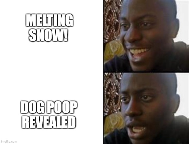 chloeneill's tweet image. There aren&apos;t enough Target bags in the world. 😭 #midwestproblems