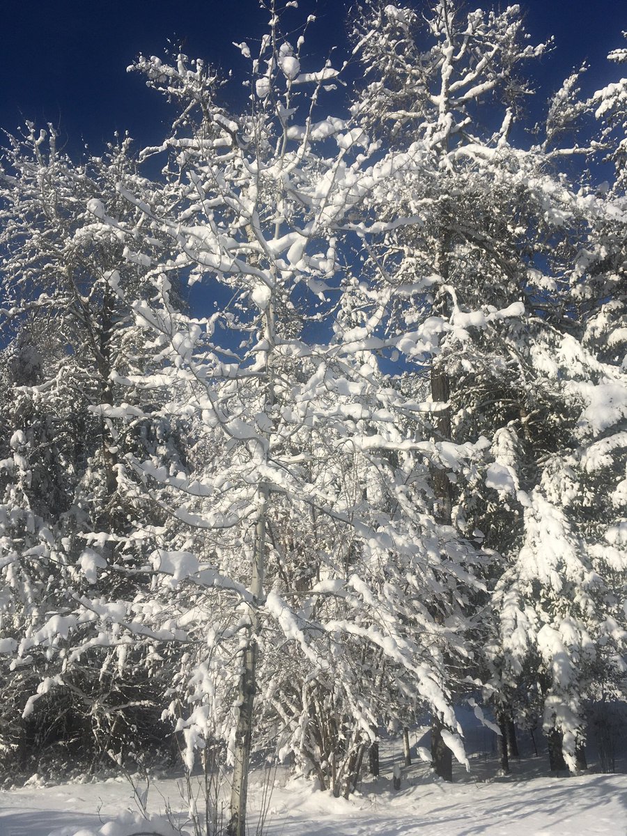 Debbie-Living To Giving tweet media