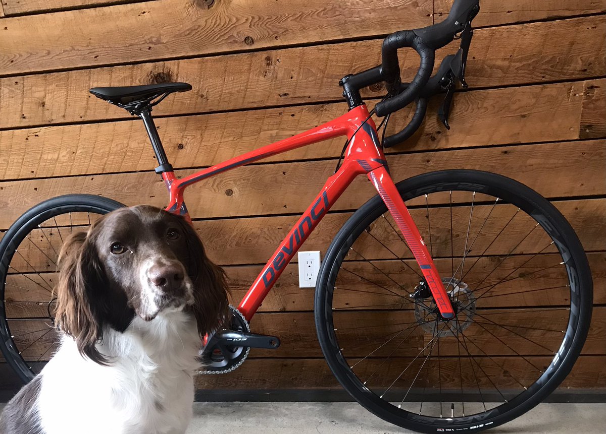 A unicorn 🦄 in the wild! 

It’s a Devinci Hatchet, 54cm, entry level carbon gravel bike, and wait for it...     it’s not sold or spoken for yet. Definitely a rare find right now and it won’t last long.