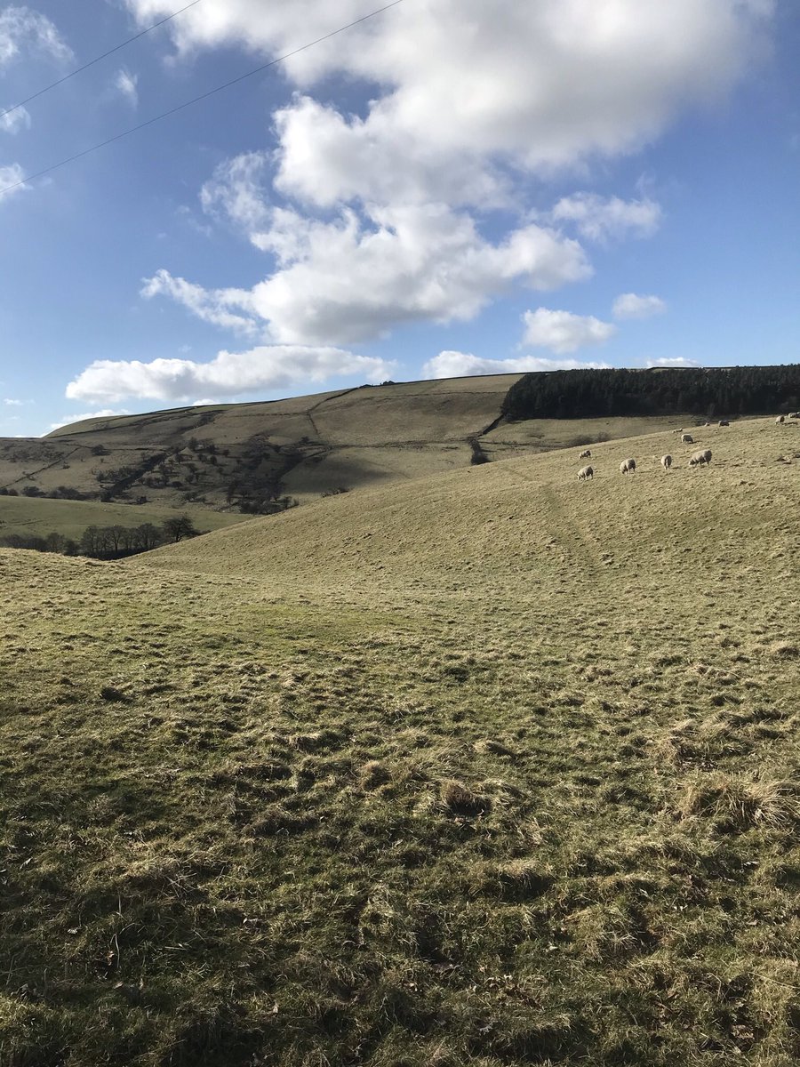 Head in the clouds today out #running, just loving the blue skies and views from #WindgatherRocks in #Cheshire’s #PeakDistict. Stunning views across #Cheshire #Merseyside #Manchester #HighPeak #Lancashire #Wales⛰🏃🏽‍♀️💚 @BollingtonHarr2