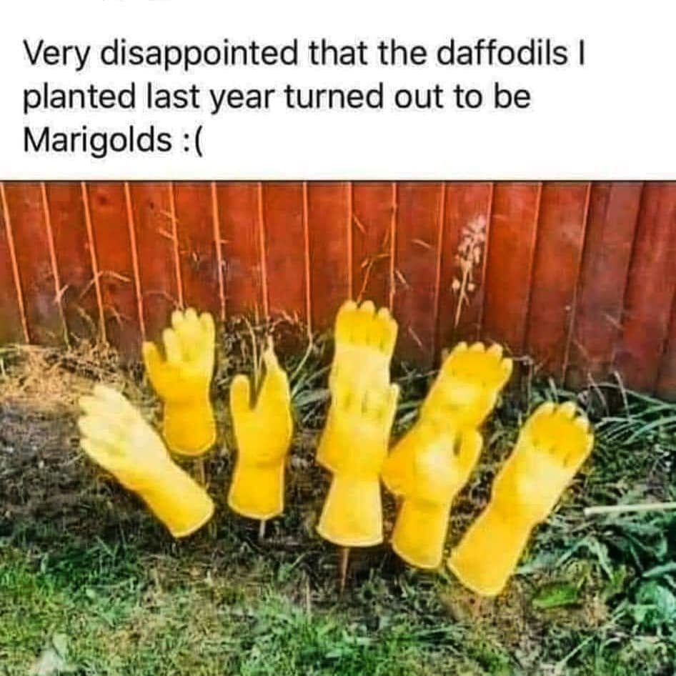 Lovely day gardening, walking and relaxing. Signs of spring outside and inside 😊. #springiscoming #timeout #positivevibes #enjoythemoment #keepsmiling