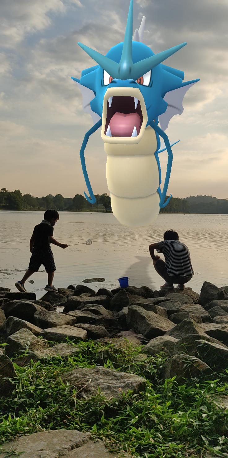 黒い犬ollieとシンガポール暮らしでポケモンgo 近所の貯水池に出かけた 水辺 にはギャラドスでしょ 良い写真が撮れた 犬も居るよ 今日もジム置きできず タスクも達成出来ません 子供と一緒にやるには無理なヤツ 子供にも優しくして欲しい ポケモンgo