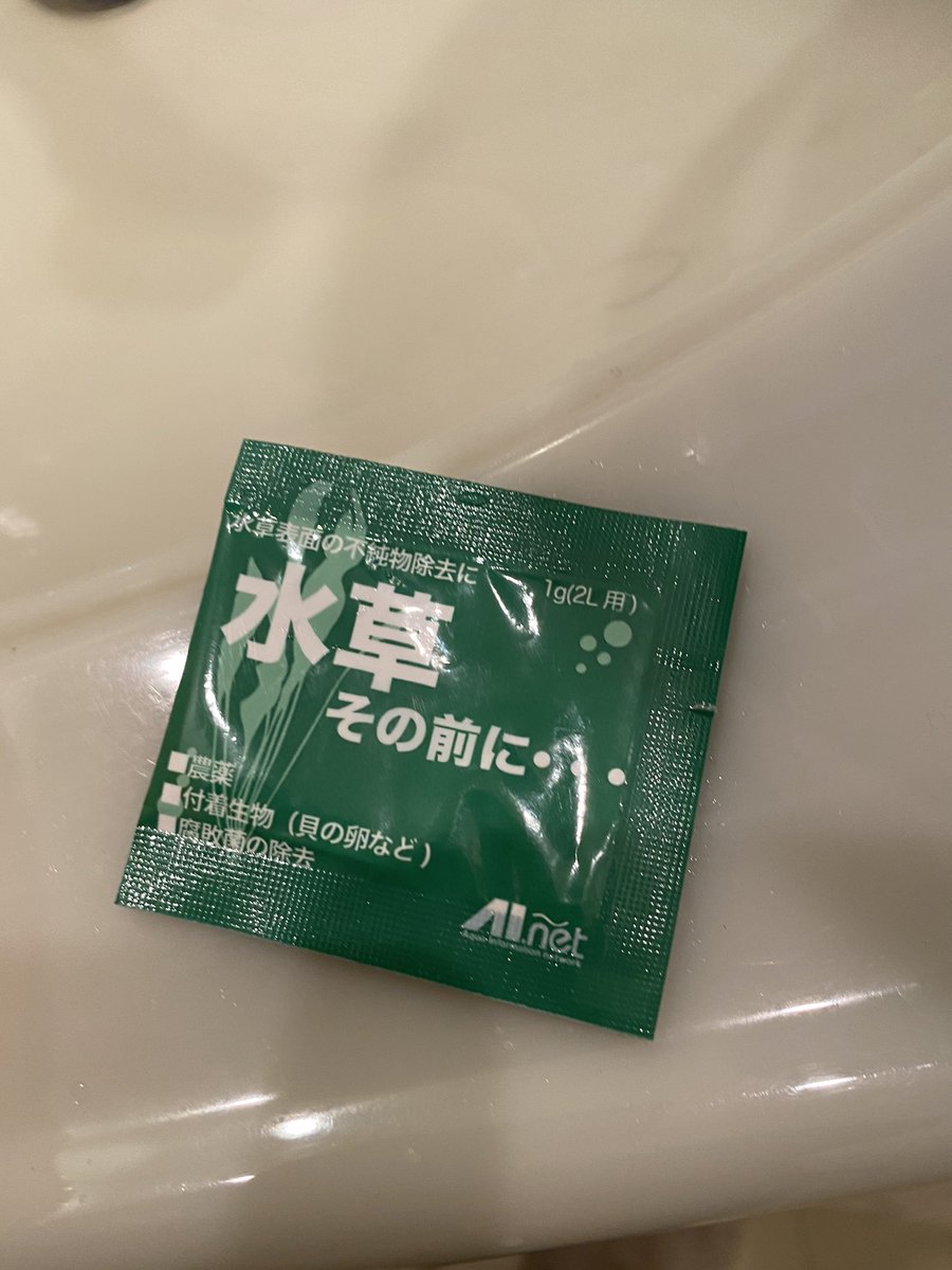 水草その前に 水草その前に