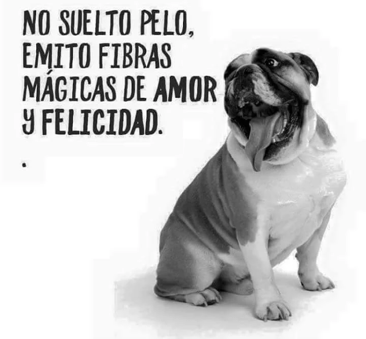 GEDVAnimal's tweet photo. 😀❤ https://t.co/Q2OGhACIAx