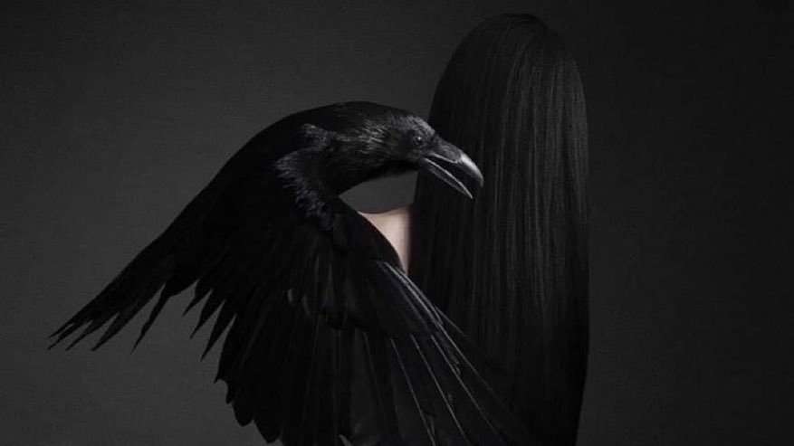 DmDavanti's tweet image. Day’s long arc
toward dusk
lithe pinnacle
of experience
night
alight
with magick.

#Poetryin13 (prompt 318)
#MadVerse
#MusePrompt 
#vsspoem
#BraveWrite