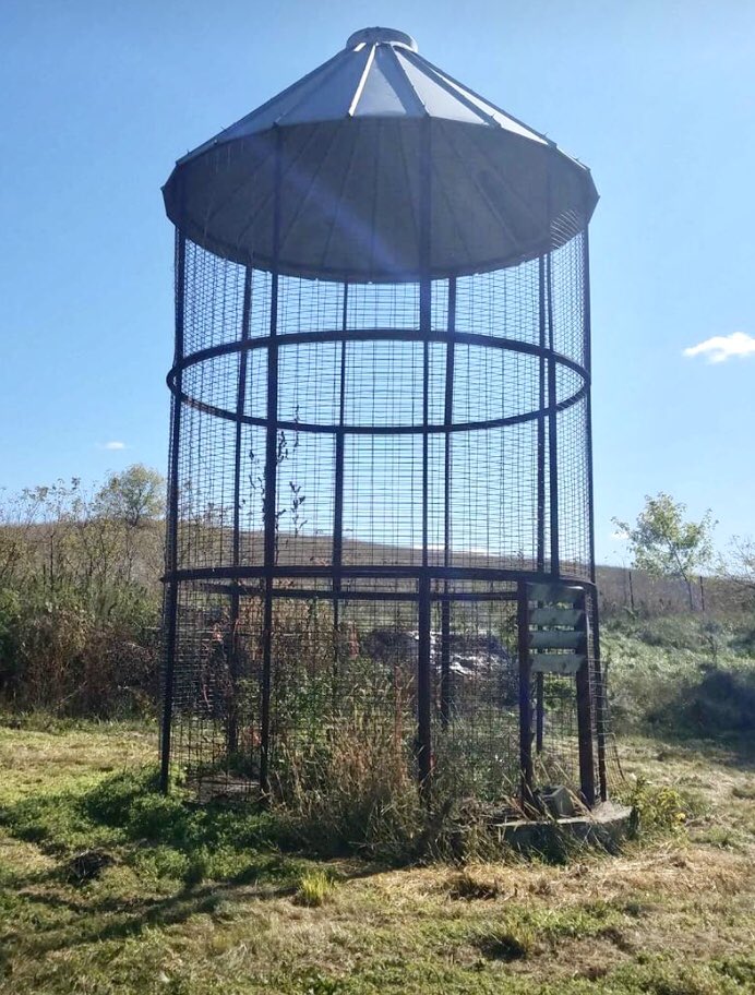 theMarcelosFarm's tweet image. just bought 2corncribs. first pics are of the two we r getting 
20 footers thinking of having 2nd floor 
Seller of: #hemp #thcfreeseeds and high quality #nutrients #probiotics and #herbicides for all your #gardening and farming needs

#FrosFreshFarm #smokablehemp 
#Downonthefarm