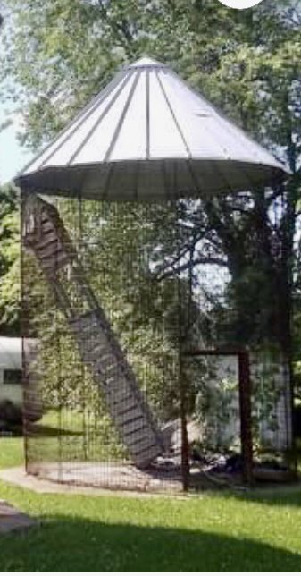 theMarcelosFarm's tweet image. just bought 2corncribs. first pics are of the two we r getting 
20 footers thinking of having 2nd floor 
Seller of: #hemp #thcfreeseeds and high quality #nutrients #probiotics and #herbicides for all your #gardening and farming needs

#FrosFreshFarm #smokablehemp 
#Downonthefarm