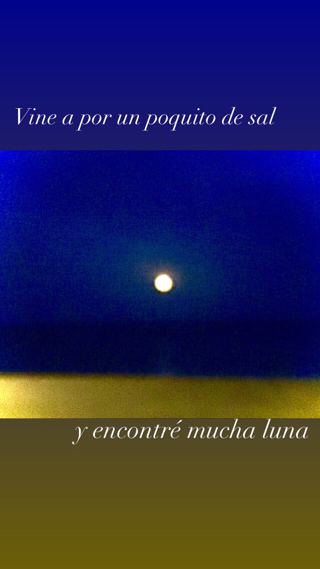anywayeva's tweet photo. Vine por un poquito de sal... https://t.co/2EVPbNhuwa