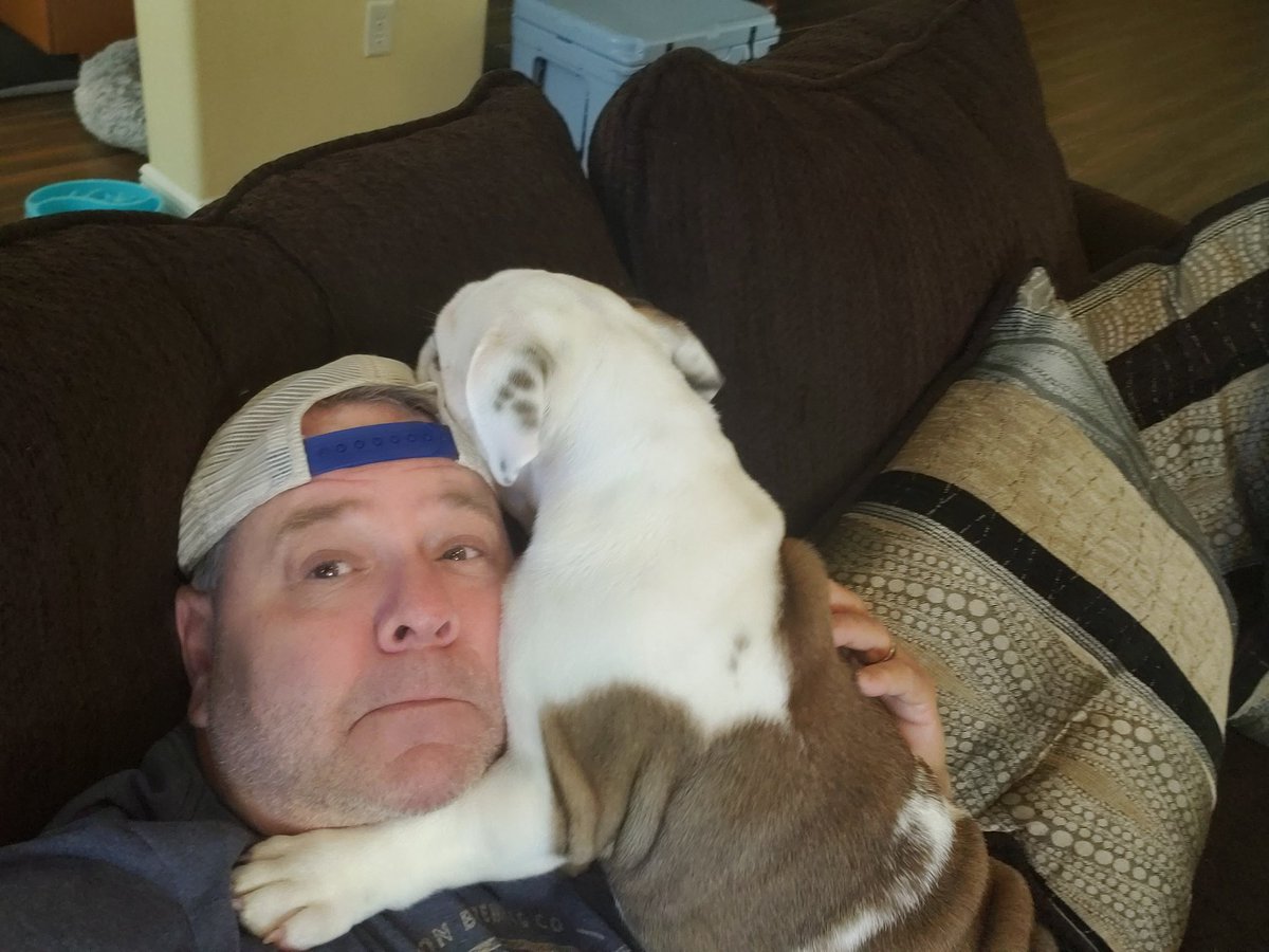 tsandg8r's tweet image. He either chewin on me or sleepin. #NoInbetween
#SirBiscuit