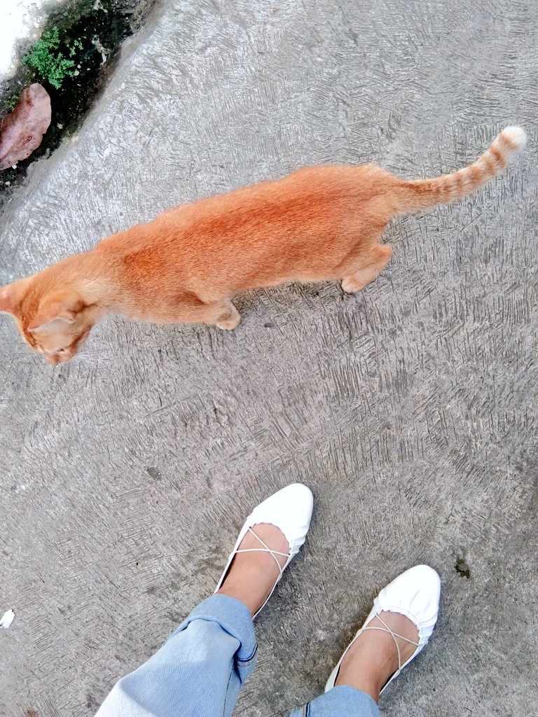 Dea Sekar Saraswati tweet media