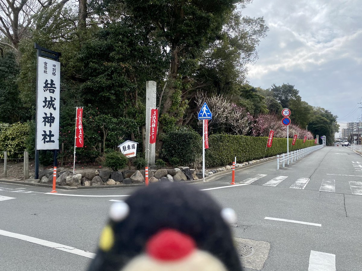 やさぺん やさやさ 三重県津市の結城神社さんの しだれ梅が見ごろぺん 三重県 津市 しだれ梅 神社 梅 花 やさぺん やさやさ 三重県津市の結城神社さんの しだれ梅が見ごろぺん 三重県 津市 しだれ梅 神社 梅 花