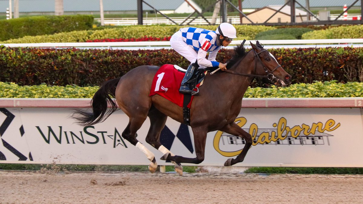 GulfstreamPark's tweet photo. Wholebodemeister upsets the Davona Dale Gr.2, @zayas_edgardo at the reins for trainer @JCAvila63 and owner/breeder @Sabanafarmllc. #GulfstreamPark #ChampionshipMeet https://t.co/qiyjo9CDOS