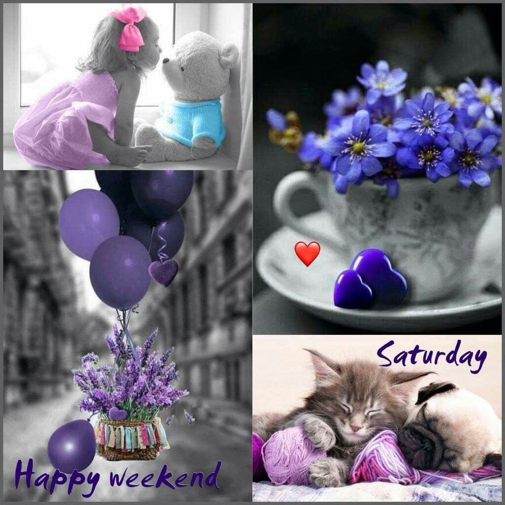 @badluck_jones Happy Saturday, dear Badluck Jones🌷🙏🏻🕊