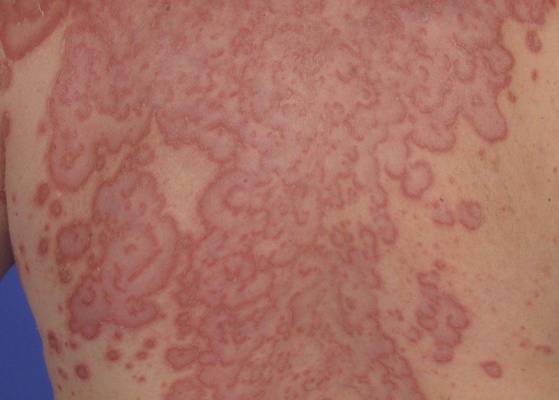 Semiología Médica tweet media