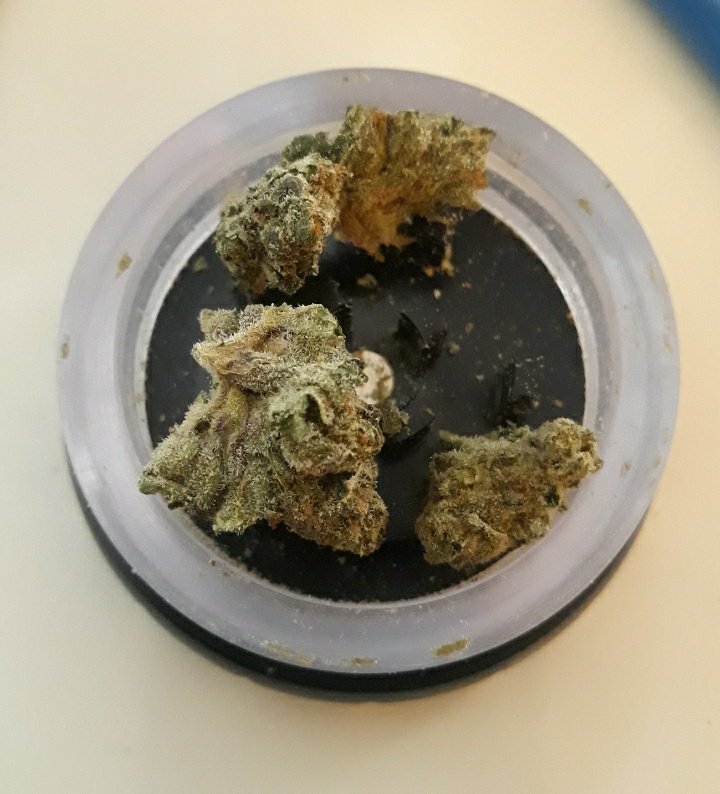 Nacho21341510's tweet photo. @icecube Not bad after a 2 month cure from seed to harvest in 4 3 gallon planters in good ol' fox farm dirt😂😂😂😥😂Hydro ain't the only way to grow some personal good. Get you a 2X2 &amp; save some doe👌🏿 https://t.co/G9VWbTgfnY