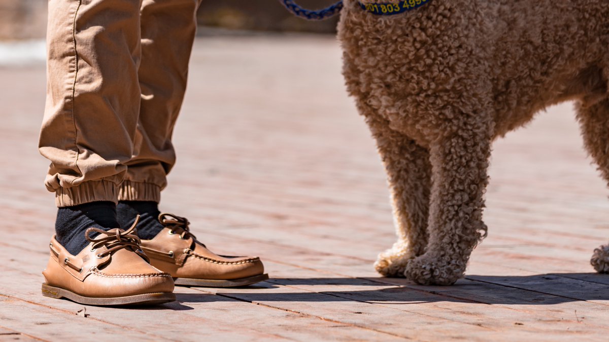 NateMiceli's tweet photo. @sperry It's #TeamSock for me in the #SperrySockDebate. Who would want sweaty feet? https://t.co/TlFIJvsie4