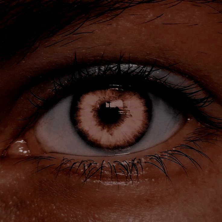 ㅤㅤㅤㅤㅤㅤㅤㅤㅤㅤㅤㅤㅤㅤㅤㅤㅤㅤㅤㅤㅤ❛ 𝔭𝔬𝔴𝔢𝔯 𝖺𝗇𝖽 𝔠𝔬𝔫𝔱𝔯𝔬𝔩, 
ㅤㅤㅤㅤ𝗂'𝗆 𝗀𝗈𝗇𝗇𝖺 𝗆𝖺𝗄𝖾 𝗒𝗈𝗎 𝖋𝖆𝖑𝖑 ❜ㅤㅤㅤㅤㅤㅤㅤ╶╶╶╶╶╶╶╶╶╶╶
╰──┈ ㅤㅤ﹙ ᴍɪsᴛᴇʀɪᴏ﹚, ʙᴀsed : ʟ̲ᴏ̲s̲ ᴘ̲ʀ̲ᴏ̲ᴛ̲ᴇ̲ɢ̲ɪ̲ᴅ̲ᴏ̲s̲ , # ᴘʙʀᴘ.

ㅤㅤㅤㅤㅤㅤRT ; FAV?