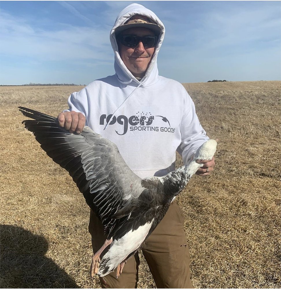 rogerssporting's tweet photo. Who loves a good eagle head? π¦
.
.
.
#eaglehead #bluegoose #conservationorder #waterfowl #goosehunting #rogerssportinggoods
π·: @colorado_outdoorsmen https://t.co/lPuv7Vs60T