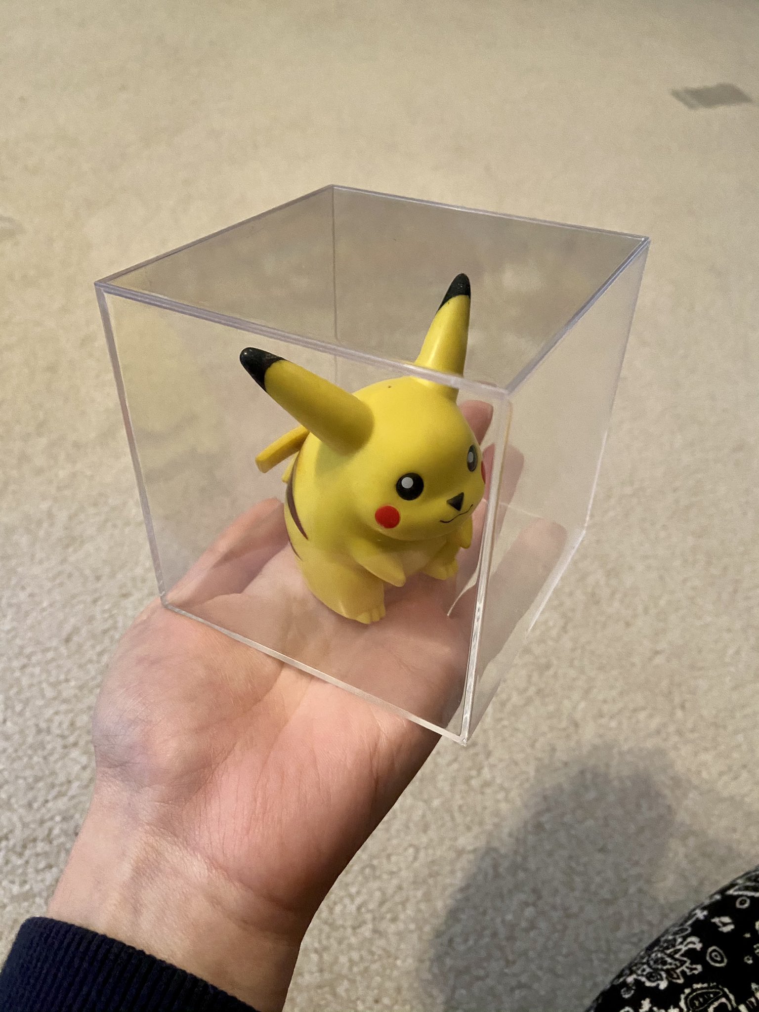 Jivke Fat Pikachu Was Too Powerful I Had To Contain Him