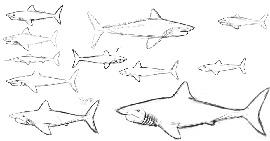 NarwhalerN's tweet photo. Oh yes, I started doing Eugeneodontids. Again.

Also apparently it was #FossilFishWeek and I missed it completely hahoo. Still, it is always time for fishe <><
#paleoart #shark #fossil https://t.co/TPD5yP9InJ