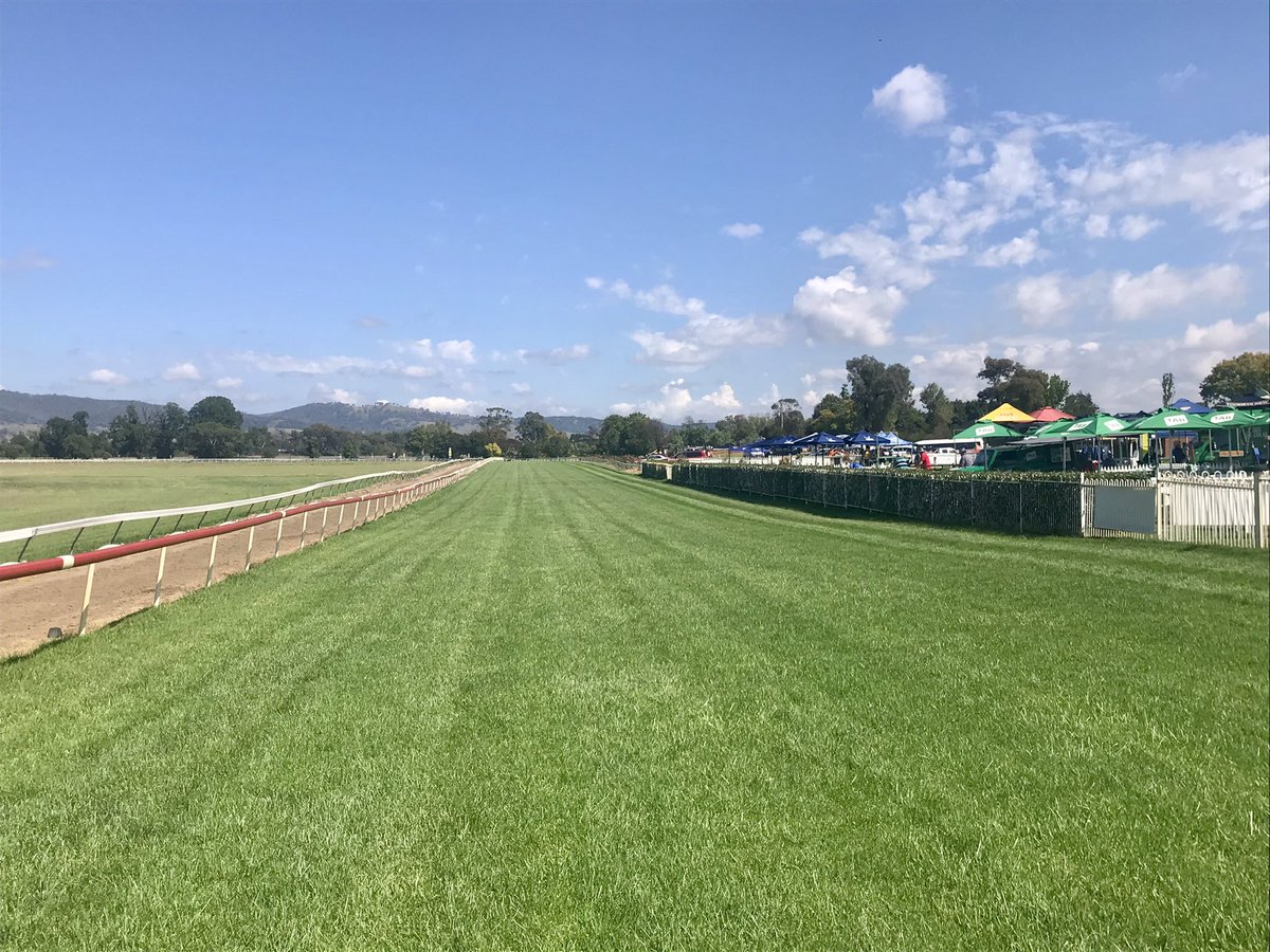 We’re all set for the CDRA Newhaven Park Country Championships Qualifier at Mudgee!
Track’s a Good 4 and the $150K feature jumps at 4.45pm