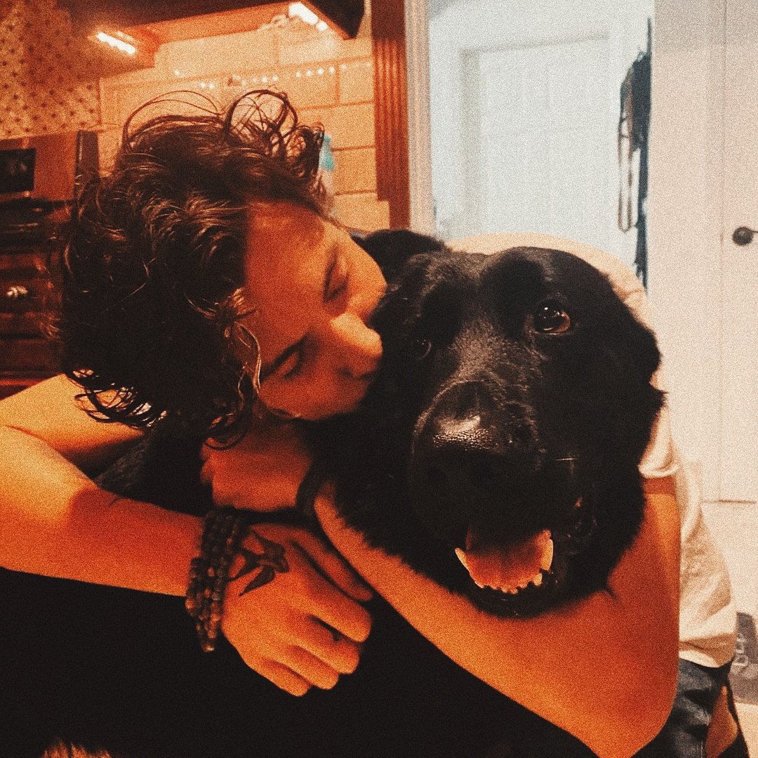 Shawn Updates tweet media