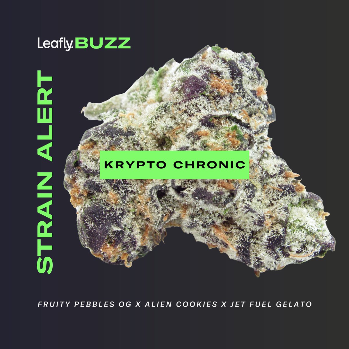 Leafly's tweet photo. #KryptoChronic by Alien Labs takes the citrus explosion of #FruityPebblesOG, sprinkles in the density and dankness of Cookies, then tops it all off with the rowdy gas of #JetFuelGelato. https://t.co/lp3tzhVgvI #LeaflyBuzz https://t.co/hBgDkGU2e5
