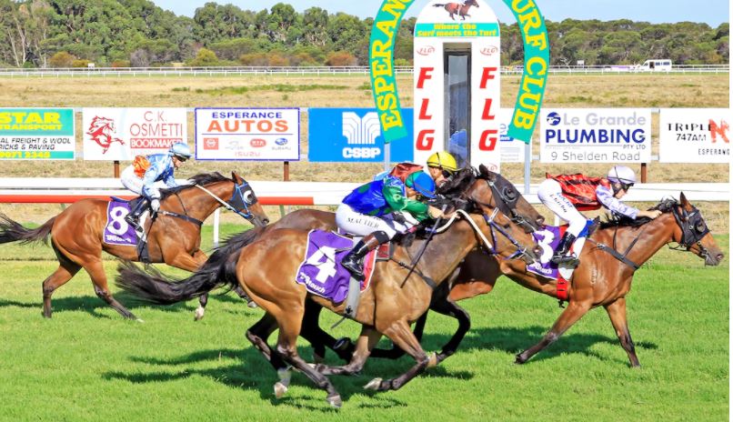 ozrace's tweet photo. It's Cup Day π at Esperance...
All the form now available from Ernie Manning & Ben Armstrong π https://t.co/ob1i8d6Kpc
#EsperanceRaces @theracesWA @TAB_touch
#WARacing https://t.co/oifcnoKiQY
