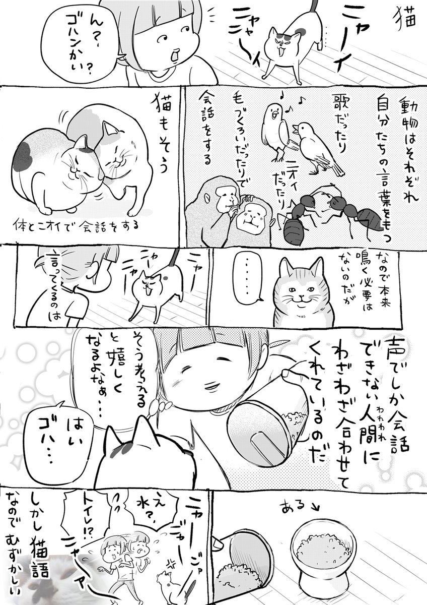 松本ひで吉先生の漫画 人語を理解する犬と人に合わせ声を発する猫の話 からの 実は文化によって変化が豊かな人語の話 が興味深い Togetter