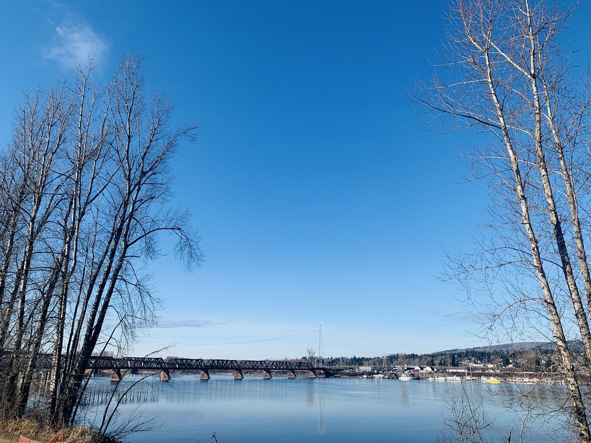 FugaciousOne's tweet photo. Haye haye ye majboori 
Ye mausam aur ye doori 
Mujhe pal pal hai tarsaye 
Report Card bnaon de chakkar ch
Meri lakhon ki walk jaye.....
#TheRiverIsCalling 
Such a beautiful day and I can’t go for a walk https://t.co/5jiKWKWzv3