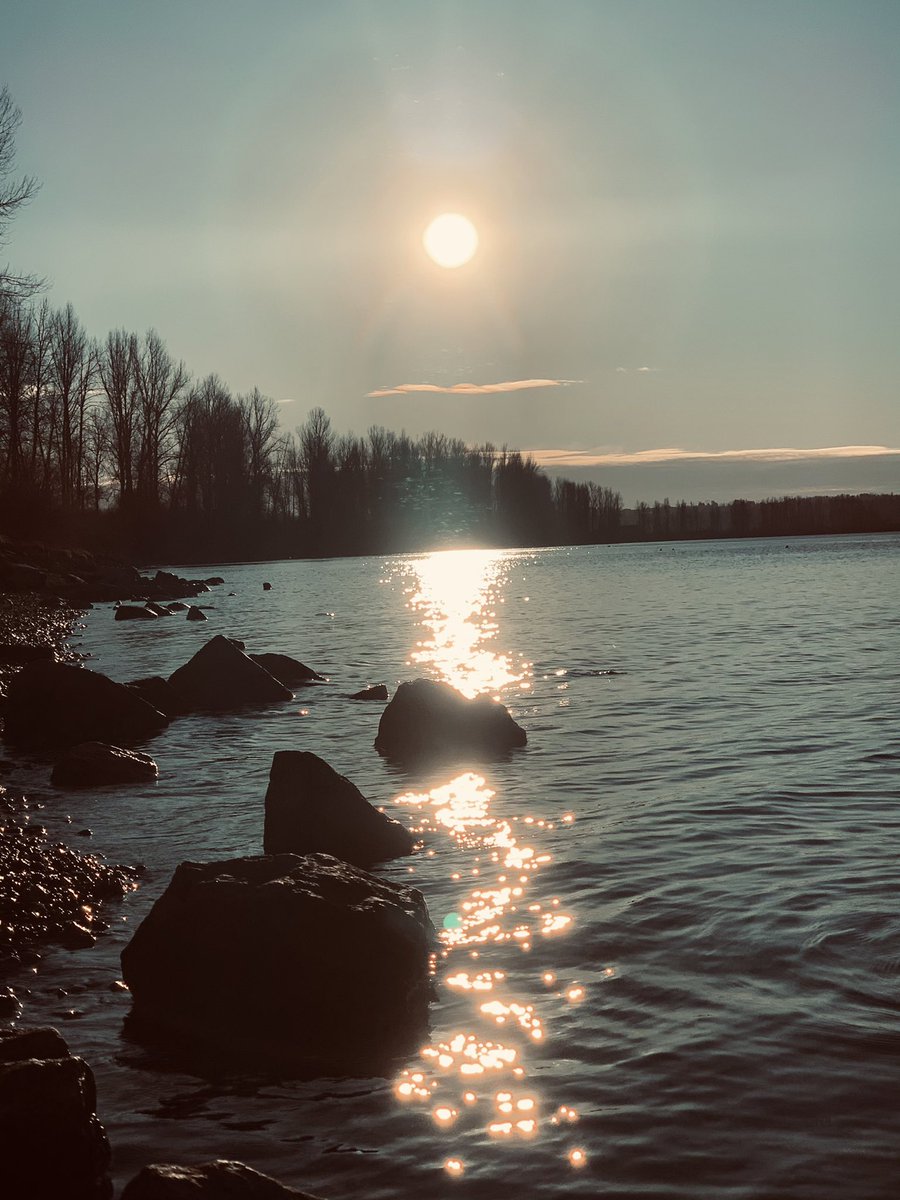 FugaciousOne's tweet photo. Haye haye ye majboori 
Ye mausam aur ye doori 
Mujhe pal pal hai tarsaye 
Report Card bnaon de chakkar ch
Meri lakhon ki walk jaye.....
#TheRiverIsCalling 
Such a beautiful day and I can’t go for a walk https://t.co/5jiKWKWzv3