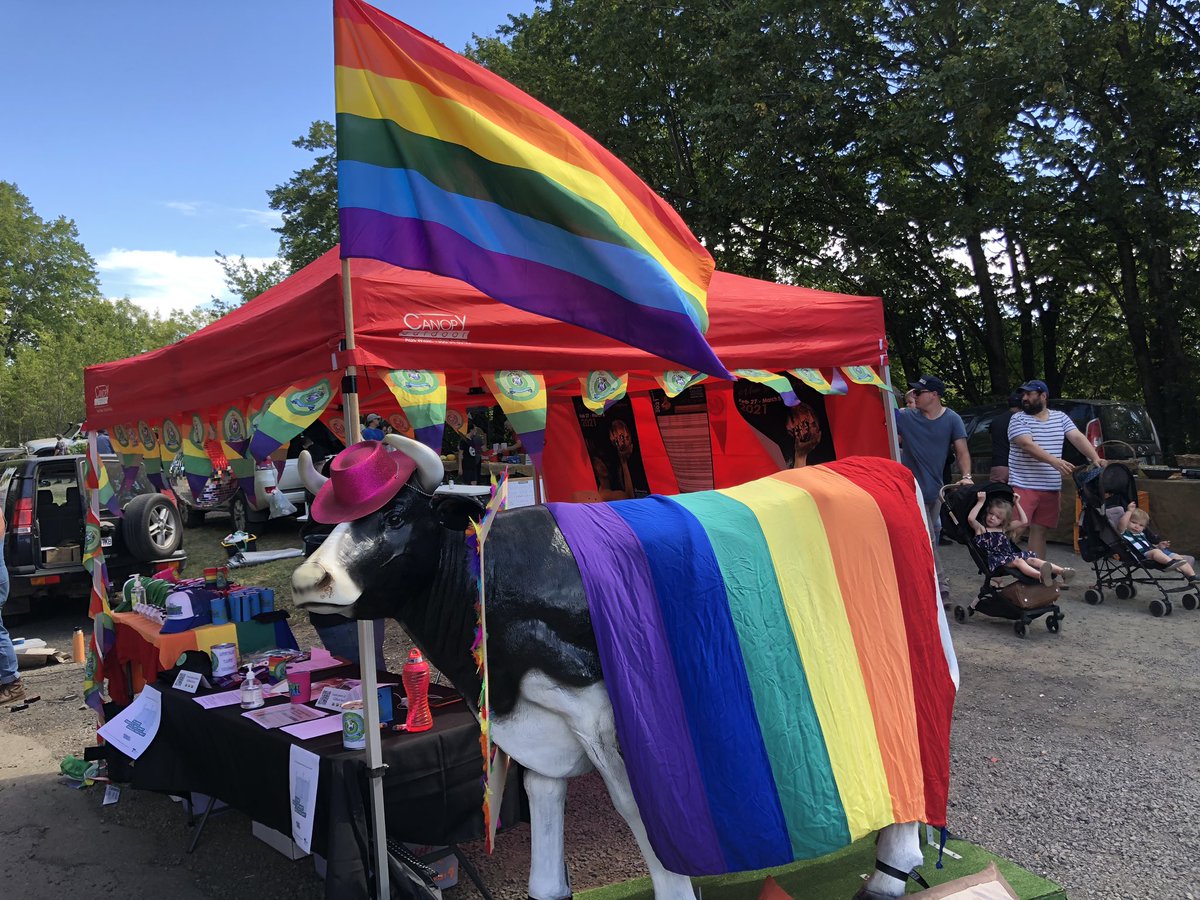 ChillOut Festival tweet media