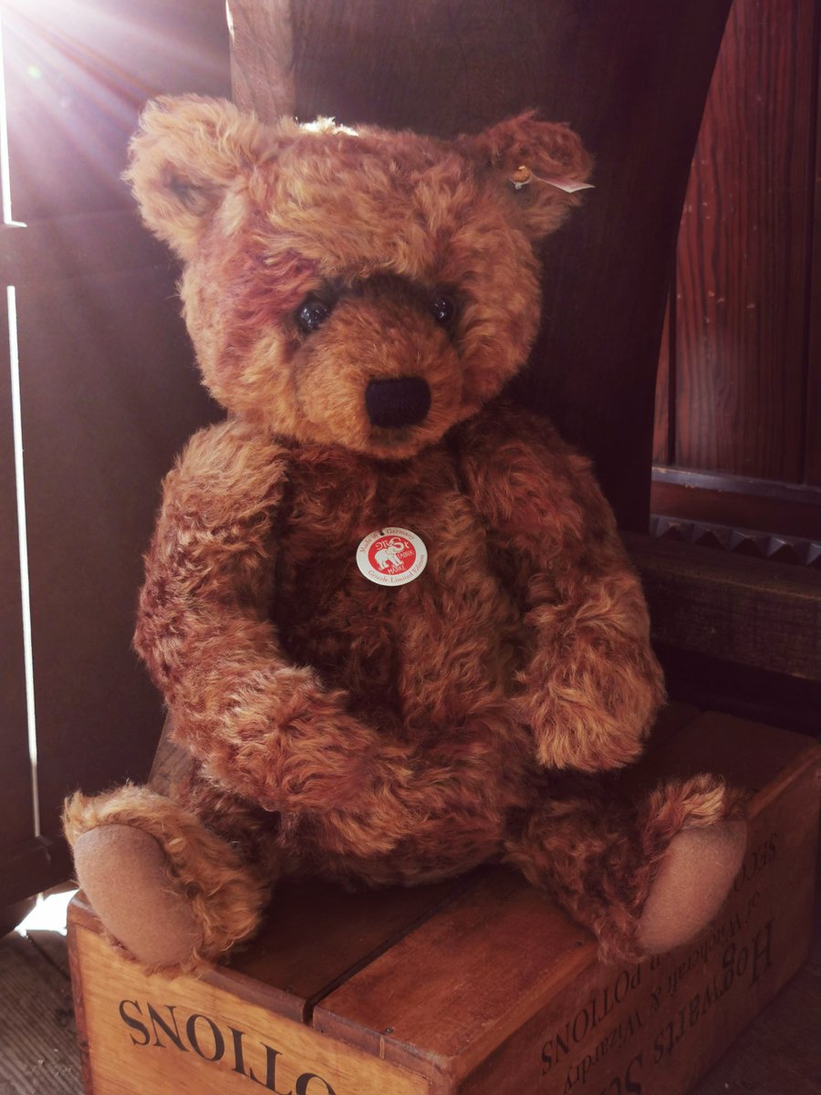 UrchinsBears's tweet photo. Look into a teddy bears eyes and feel the love, know the secrets and live the dreams..
#steiff #steiffvintage #steiffteddy #urchinsbearshop https://t.co/2dtlQD9dNj