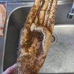 こんな怖い自然薯ある？あまりにもリアルな形すぎるw