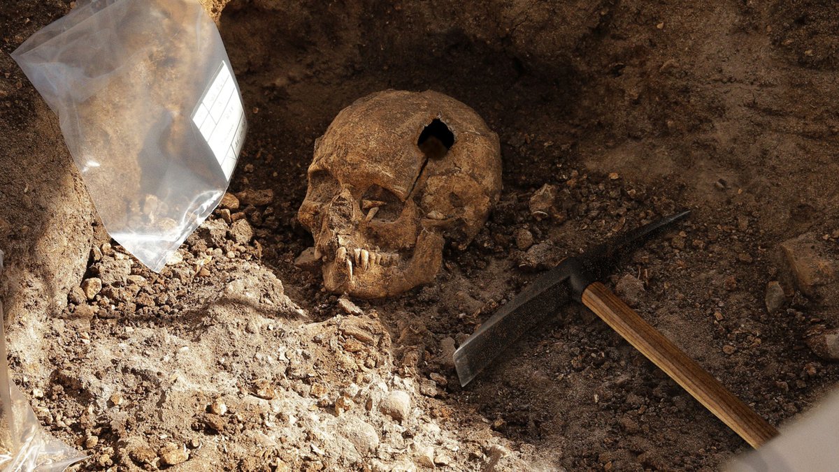 TheOnion's tweet photo. Fossilized Skeleton Shows Ancient Man Likely Died From Being Smashed In Skull By Archaeological Pickaxe https://t.co/LvCFybOTII https://t.co/7XNMvcRVUr
