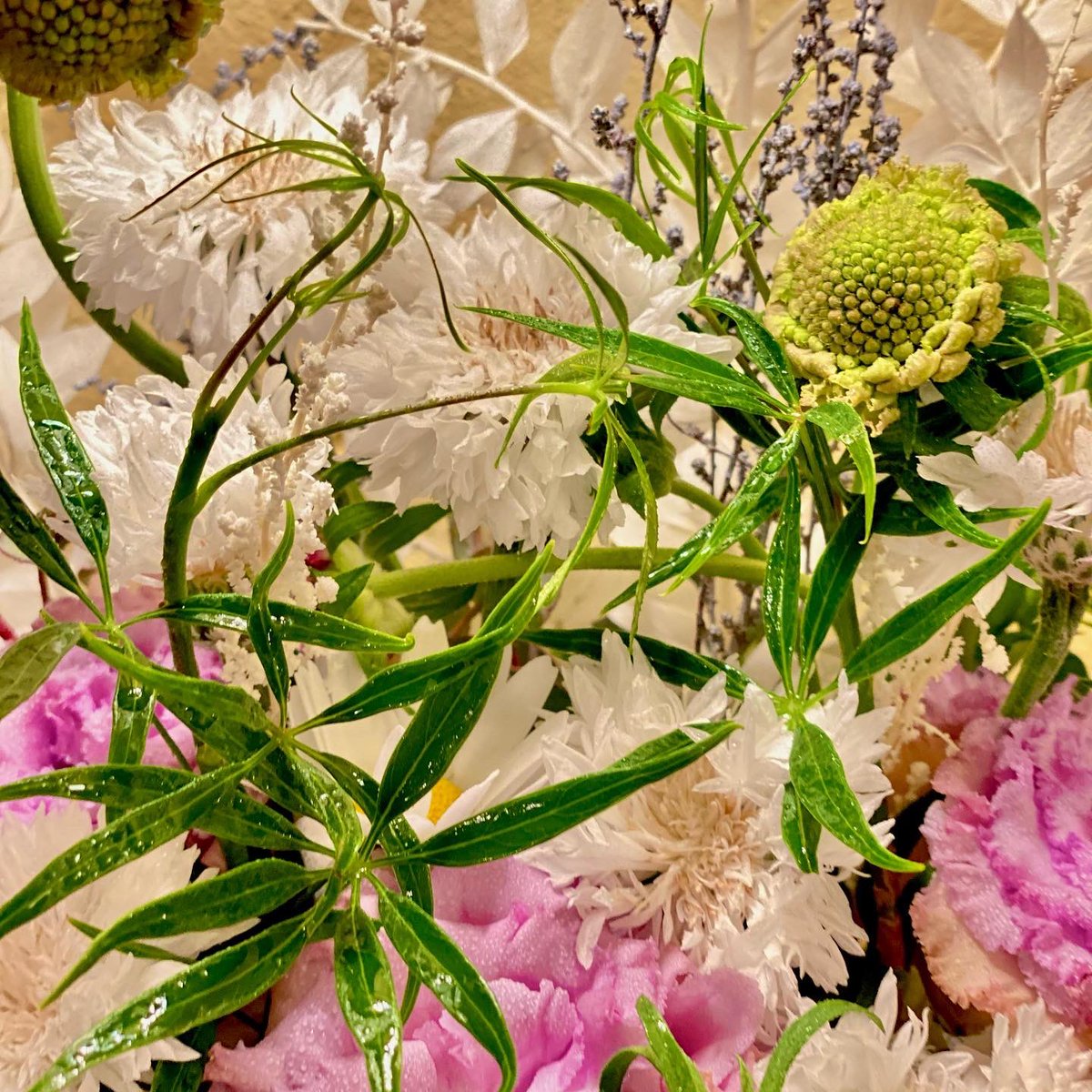 FLOWERFROG87's tweet photo. 切り花として出荷されていない当店のオリジナルグリーンを合わせて。
唯一無二の作品をお届けできました💐
#祈り
#ceremony
#white
#onlyone #green
#お花
#flower
#flowerfrog
#bouquet
#florist https://t.co/iXFtmPcK1E