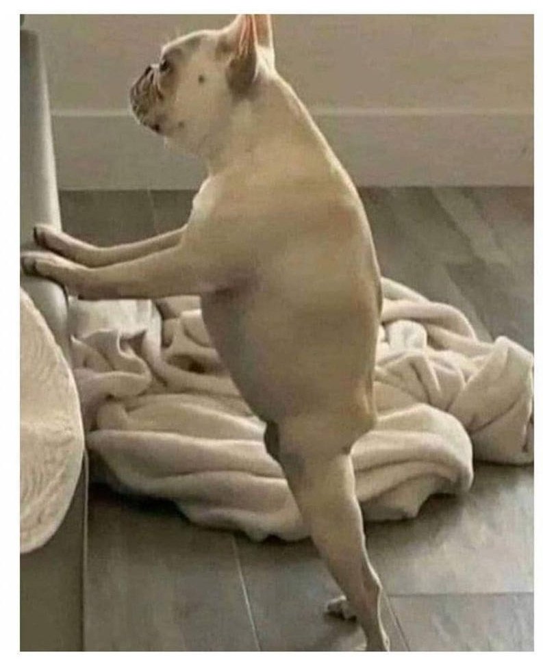 seriousfunnyguy's tweet photo. Men above 40 in skinny jeans

~WA https://t.co/cC6MyspjX8