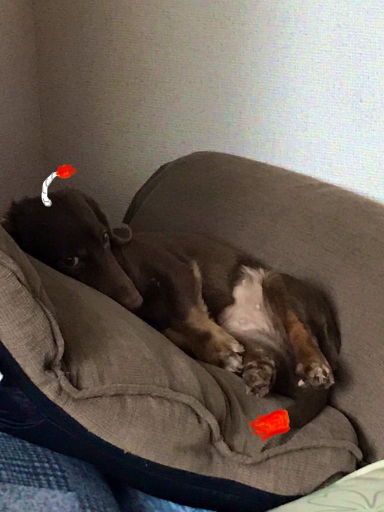 Avainsana 爆弾の呼吸 Twitterissa