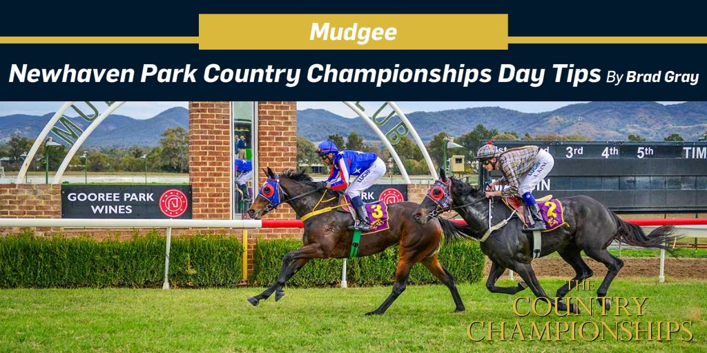 ICYMI: Tips and race by race preview via <a href="/BradJGray/">Brad Gray</a> for today’s <a href="/MudgeeRaceClub/">Mudgee Race Club</a> <a href="/NewhavenPark/">Newhaven Park</a> Country Championships meeting.

👉 bit.ly/2P8dr46