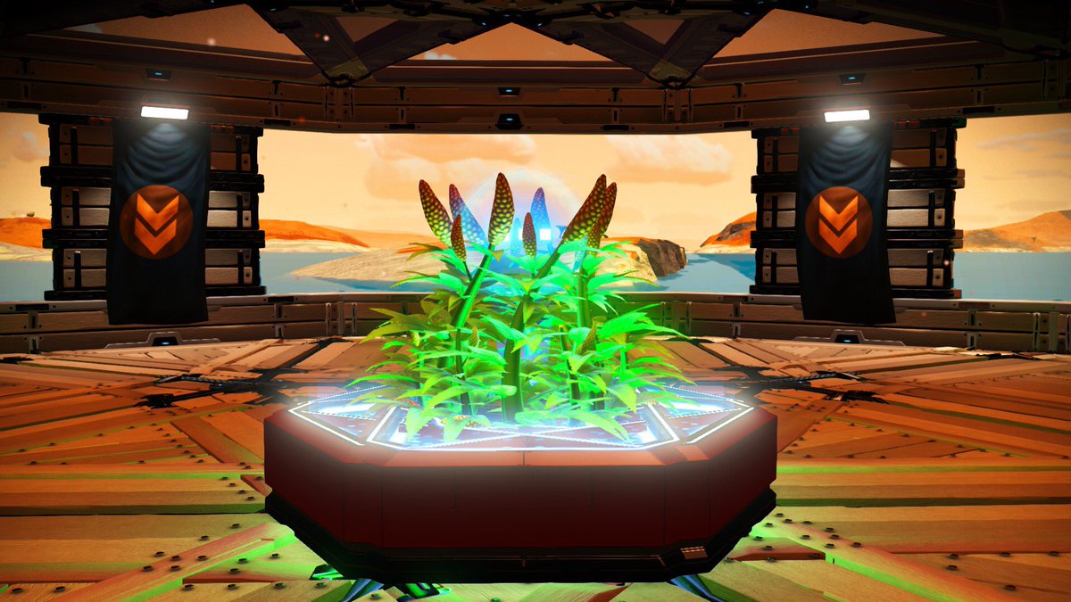 Zaz Ariins tweet media