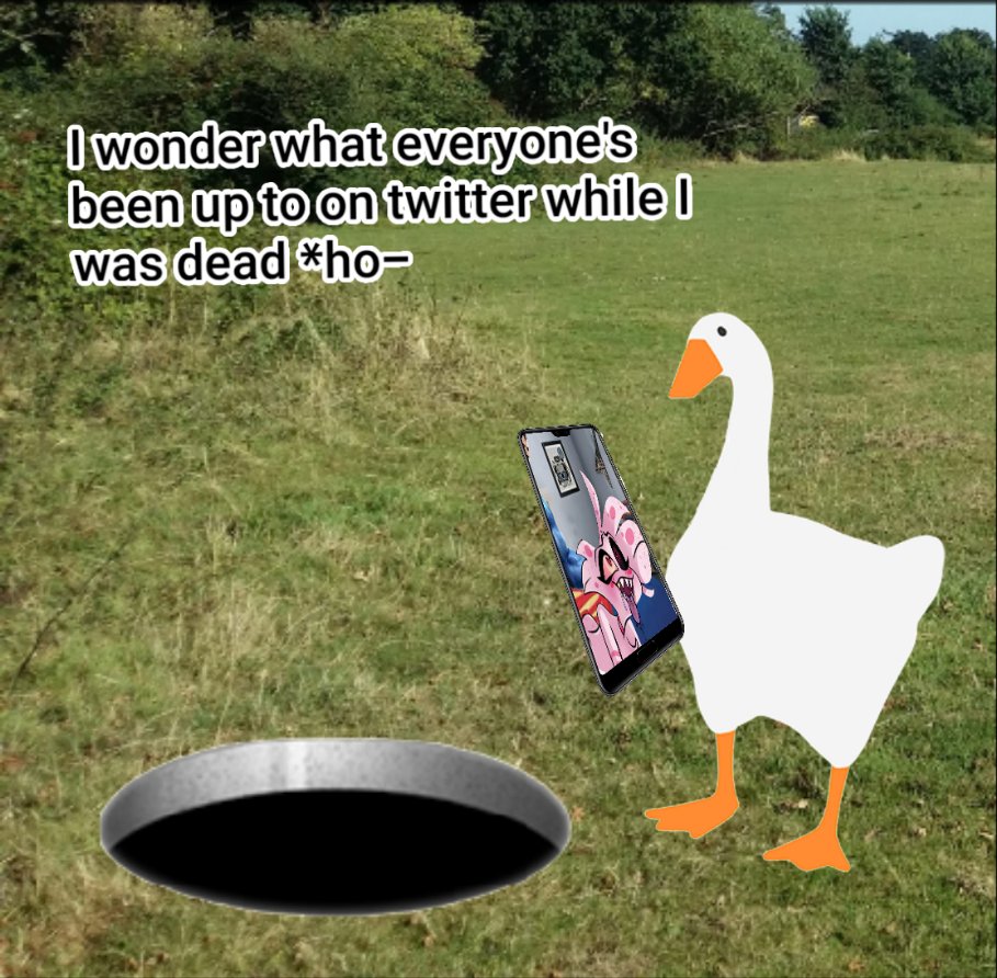 UntitledGoose_'s tweet image. What the fuck happened while I was dead *honk*