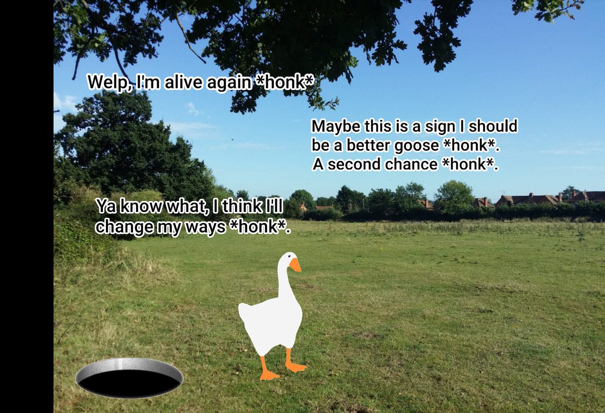 UntitledGoose_'s tweet image. What the fuck happened while I was dead *honk*