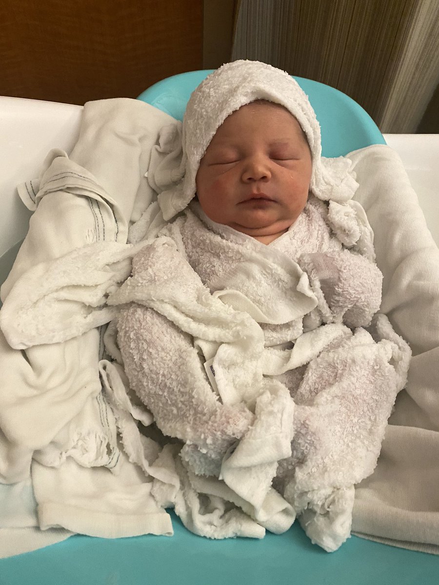Cali_Kaylee's tweet photo. everyone meet Mateo! 🥺💕 https://t.co/5x9OYCwRyQ