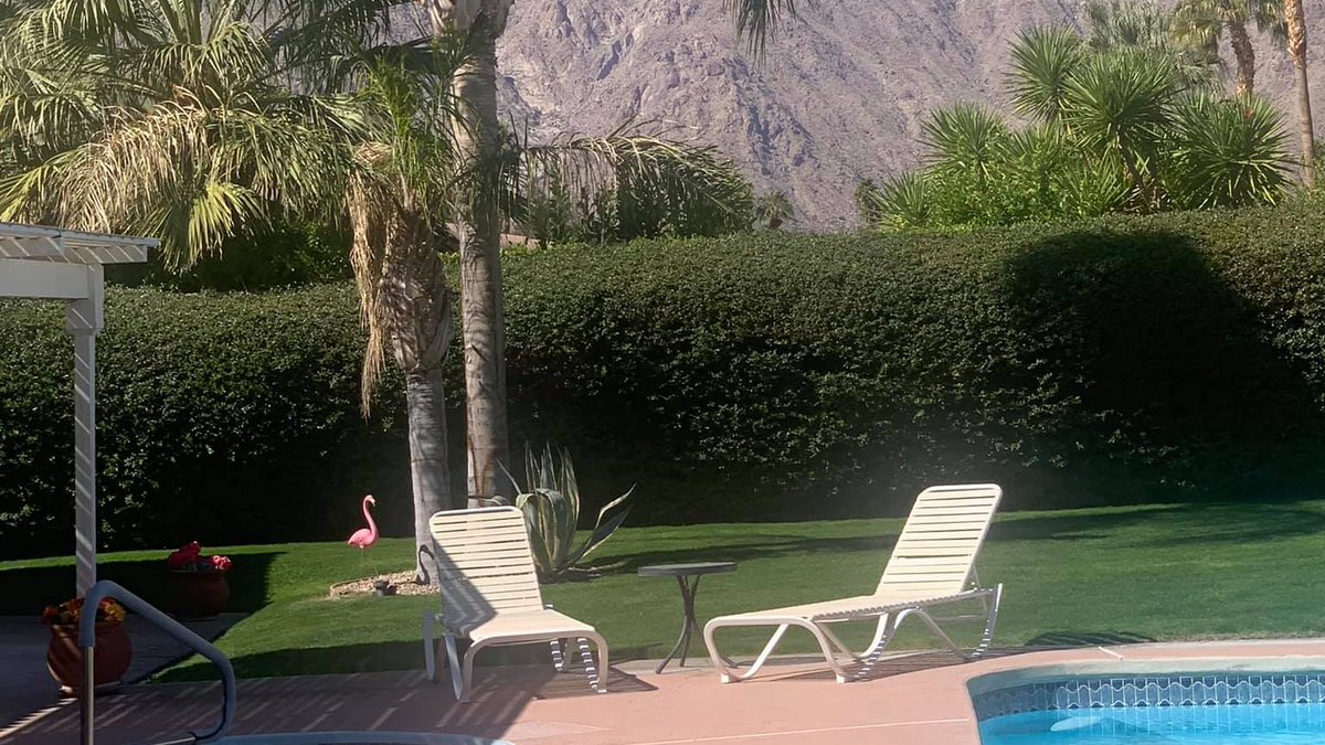 Team_pshomes's tweet photo. Love Palm Springs   Luxury Homes https://t.co/Nywr0im2FL https://t.co/DOtM577sOu