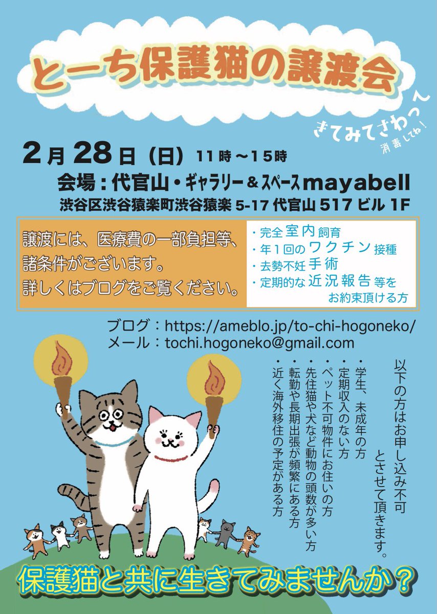 ya_boys's tweet photo. とーち保護猫の譲渡会、開催中です。 #猫 #保護猫 #里親会 #譲渡会 #代官山 #mayabell https://t.co/198Zrn9HUl
